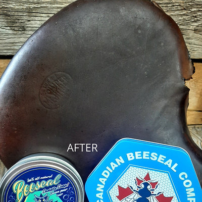 Canadian Beeseal Saddle Soap